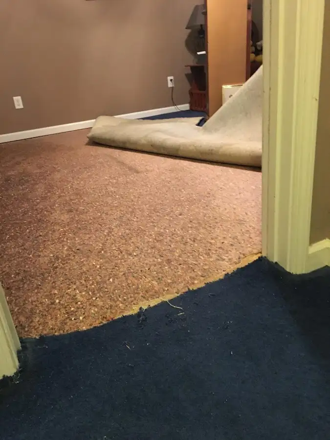 Carpet pad removal revealing water damage during Drying & Dehumidification in Landen
