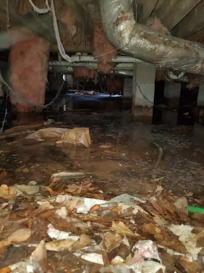 Crawl space flood assessment for Leak Detection & Repair in Landen