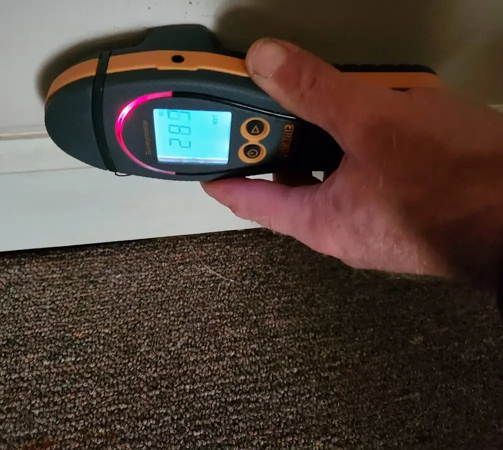 Moisture detection at baseboard during Sewage Cleanup & Sanitation in Landen